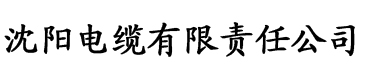 极速TV电缆厂logo